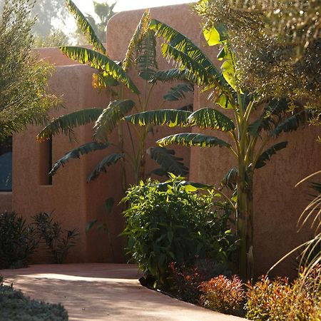 Oasis Lodges El Makina Εξωτερικό φωτογραφία